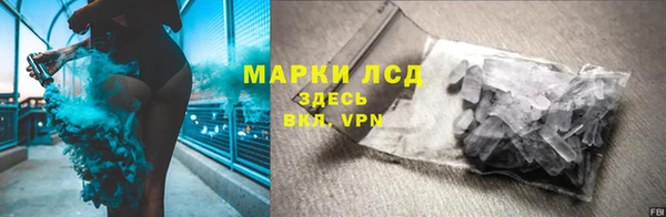 ПСИЛОЦИБИНОВЫЕ ГРИБЫ Алзамай