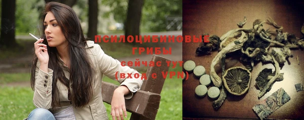 ПСИЛОЦИБИНОВЫЕ ГРИБЫ Алзамай