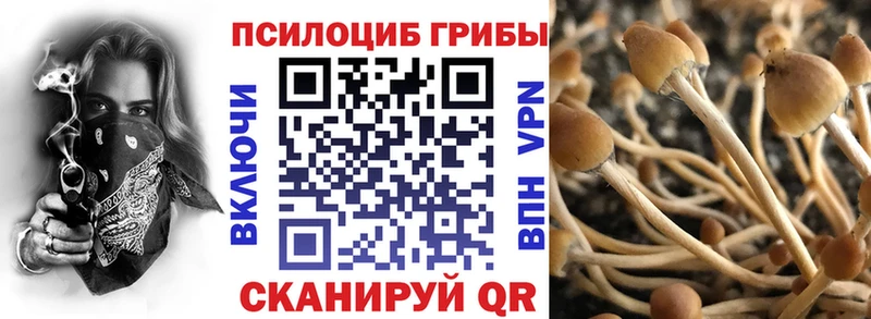 купить   Калач-на-Дону  мега зеркало  Псилоцибиновые грибы Psilocybe 
