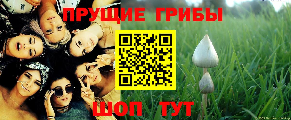 Калач-на-Дону  Галлюциногенные грибы Psilocybine cubensis  Вход с VPN 